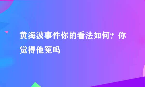 黄海波事件你的看法如何？你觉得他冤吗