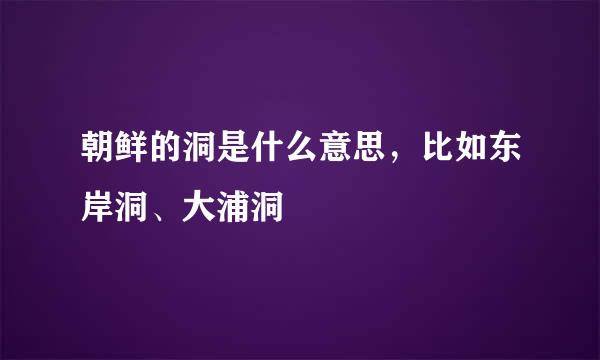 朝鲜的洞是什么意思，比如东岸洞、大浦洞