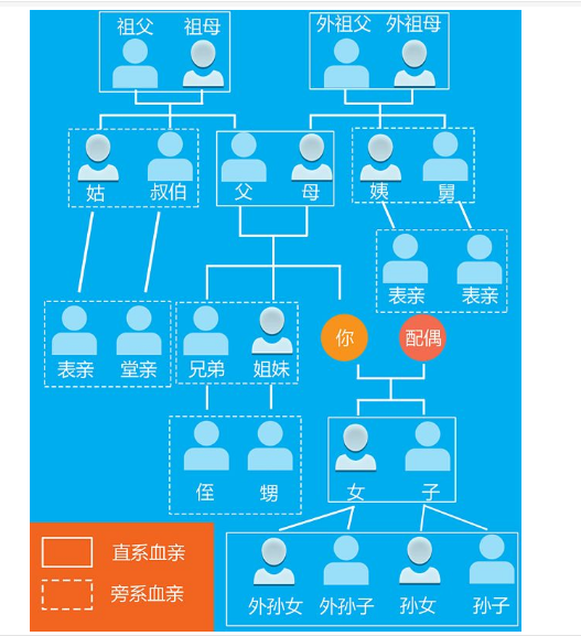 爷爷、奶奶是否属于直系亲属？