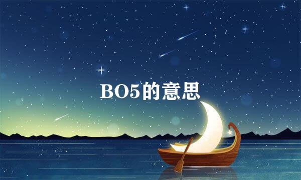 BO5的意思