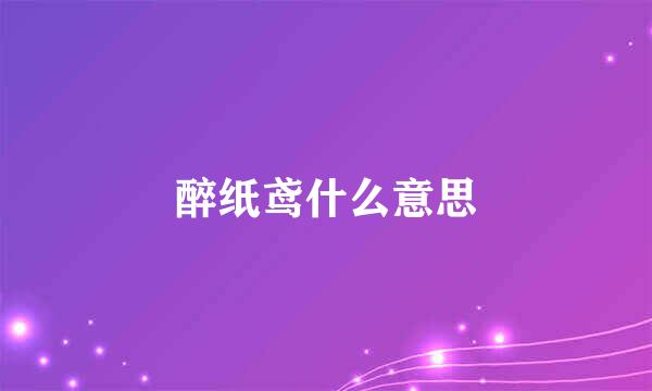 醉纸鸢什么意思