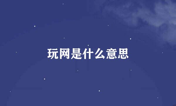 玩网是什么意思