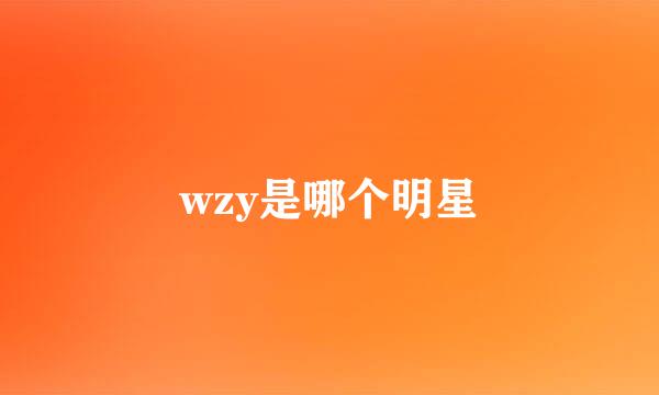 wzy是哪个明星