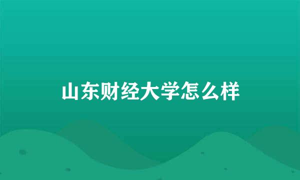 山东财经大学怎么样