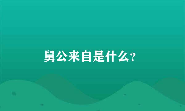 舅公来自是什么？