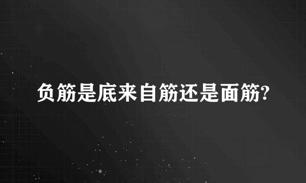 负筋是底来自筋还是面筋?