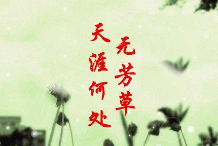 天涯何处无芳草，何必单恋一枝花 是什么意思