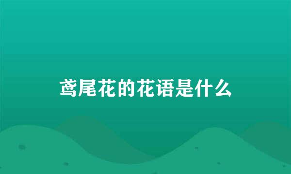 鸢尾花的花语是什么