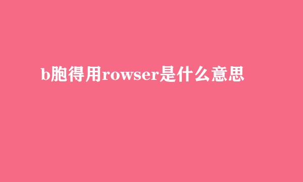 b胞得用rowser是什么意思