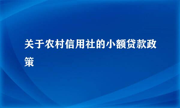 关于农村信用社的小额贷款政策