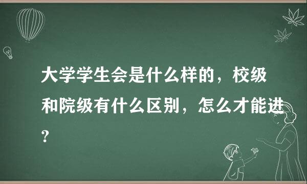 大学学生会是什么样的，校级和院级有什么区别，怎么才能进?