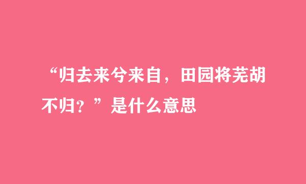 “归去来兮来自，田园将芜胡不归？”是什么意思