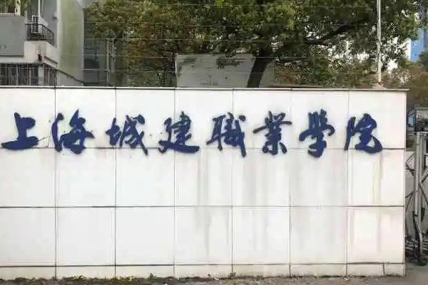 上海中本阻陈感号学贯通学校有哪些