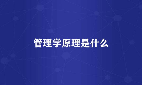 管理学原理是什么