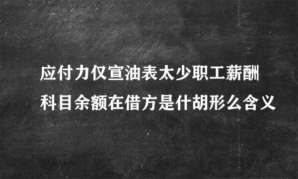 应付力仅宣油表太少职工薪酬科目余额在借方是什胡形么含义