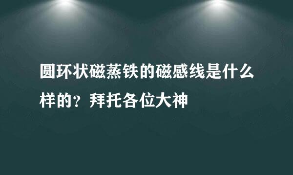 圆环状磁蒸铁的磁感线是什么样的？拜托各位大神