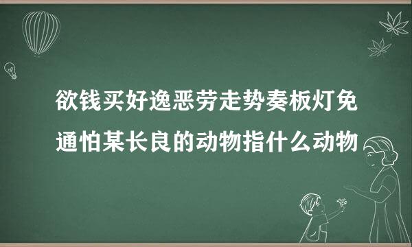 欲钱买好逸恶劳走势奏板灯免通怕某长良的动物指什么动物