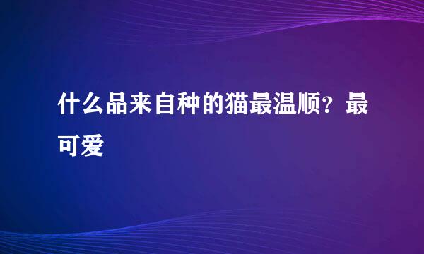 什么品来自种的猫最温顺？最可爱