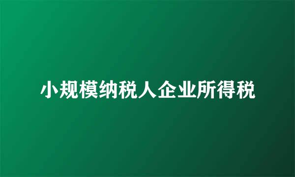 小规模纳税人企业所得税