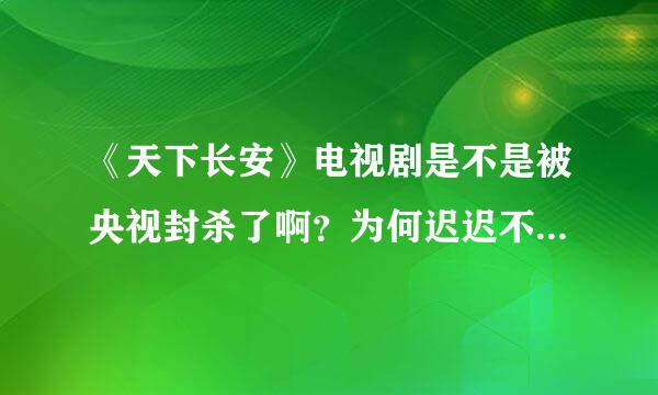 《天下长安》电视剧是不是被央视封杀了啊？为何迟迟不播出，都快2019年了？