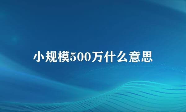 小规模500万什么意思