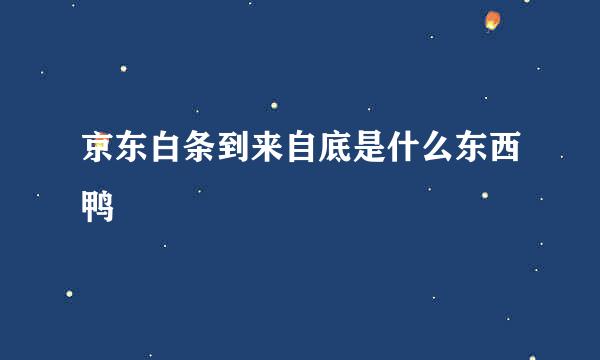 京东白条到来自底是什么东西鸭