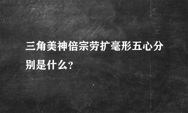 三角美神倍宗劳扩毫形五心分别是什么？