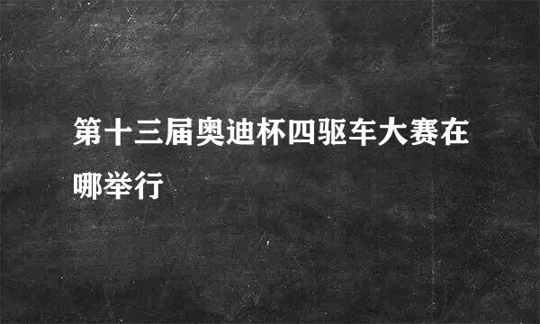 第十三届奥迪杯四驱车大赛在哪举行