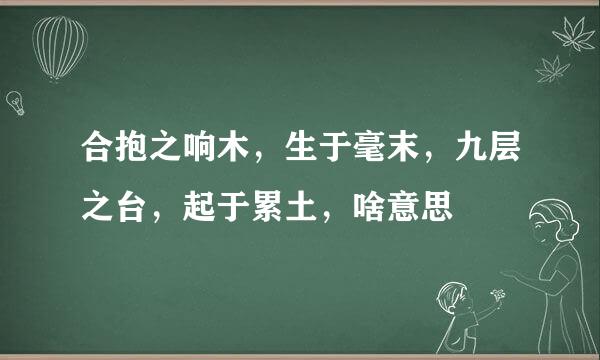 合抱之响木，生于毫末，九层之台，起于累土，啥意思