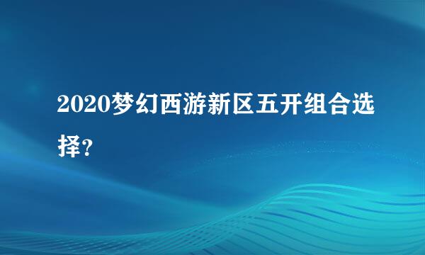 2020梦幻西游新区五开组合选择？