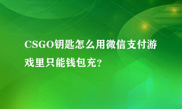 CSGO钥匙怎么用微信支付游戏里只能钱包充？