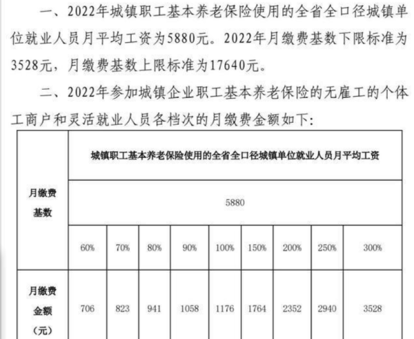 2022养来自老保险缴费档次一览表