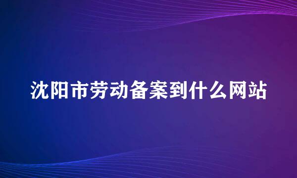 沈阳市劳动备案到什么网站