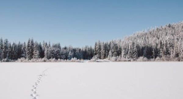 雪景诗句