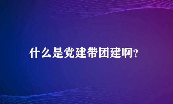 什么是党建带团建啊？