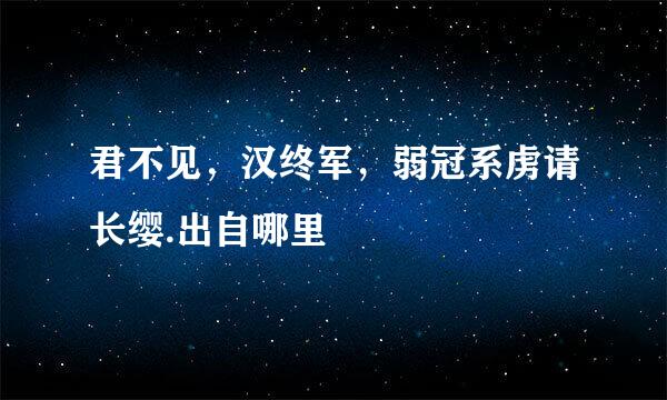 君不见，汉终军，弱冠系虏请长缨.出自哪里