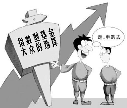 指数基金 是什么意思啊？