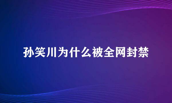 孙笑川为什么被全网封禁