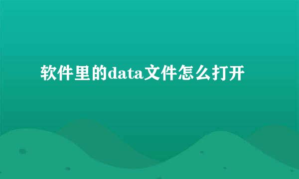 软件里的data文件怎么打开