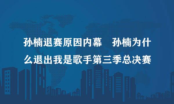 孙楠退赛原因内幕 孙楠为什么退出我是歌手第三季总决赛