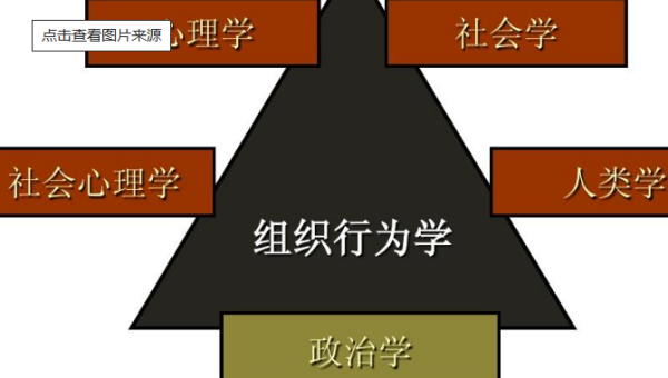 社会学属于哪个学科门类