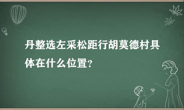 丹整选左采松距行胡莫德村具体在什么位置？