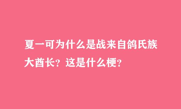 夏一可为什么是战来自鸽氏族大酋长？这是什么梗？