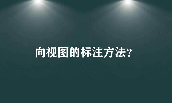 向视图的标注方法？