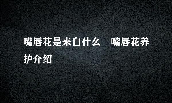 嘴唇花是来自什么 嘴唇花养护介绍