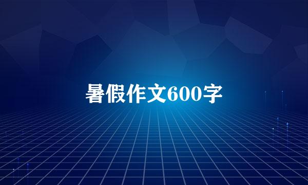 暑假作文600字