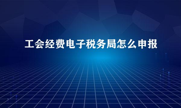 工会经费电子税务局怎么申报