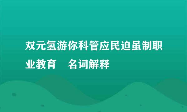 双元氢游你科管应民迫虽制职业教育 名词解释