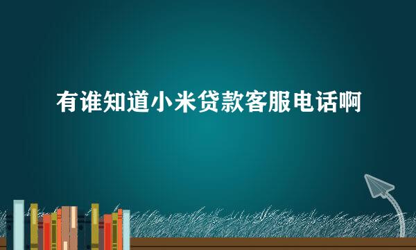 有谁知道小米贷款客服电话啊