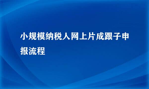 小规模纳税人网上片成跟子申报流程